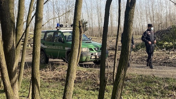 carabinieri forestale auto uomo