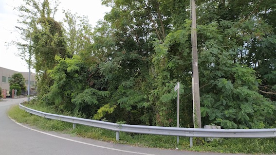 pombia don minzoni 2