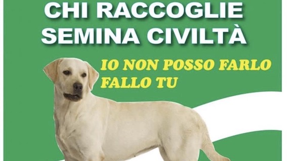 mezzomerico campagna deiezioni