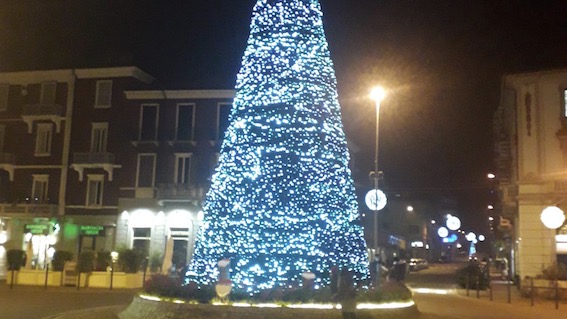 arona albero