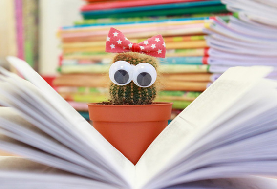 libri bimbi