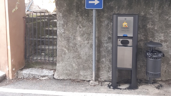 dog toilet paruzzaro