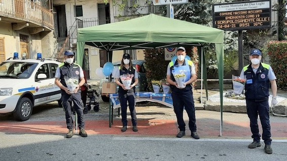 massino fiori azzurro