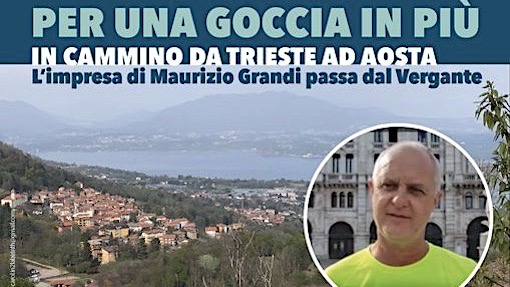 grandi avis vergante