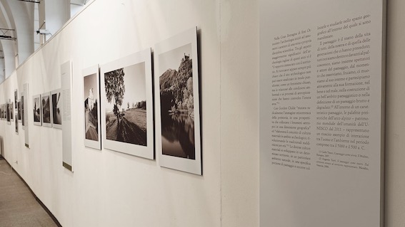 mostra palafitte arona