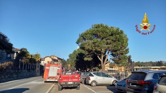 lesa intossicazione 2