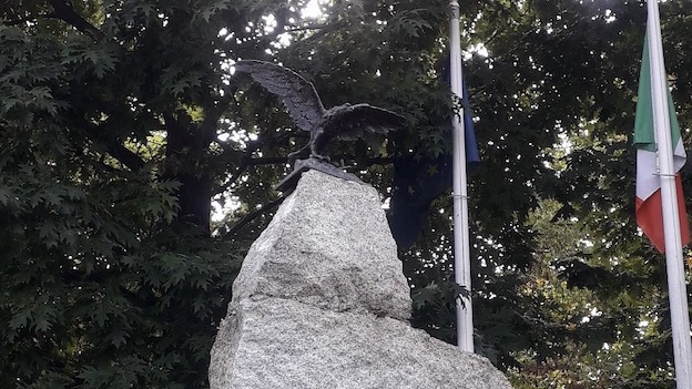 alpini arona aquila 2