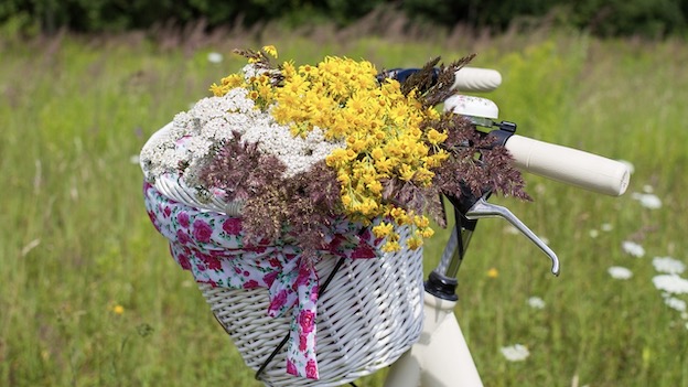 bici cestino fiori