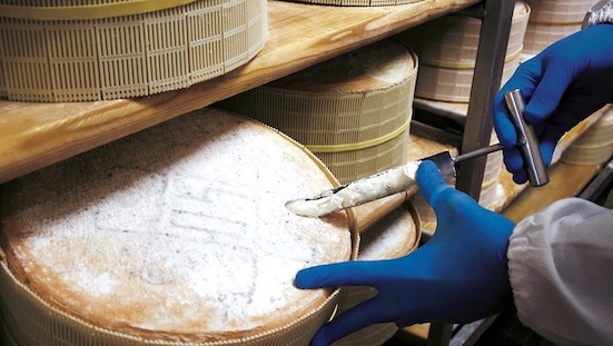 lavorazione gorgonzola