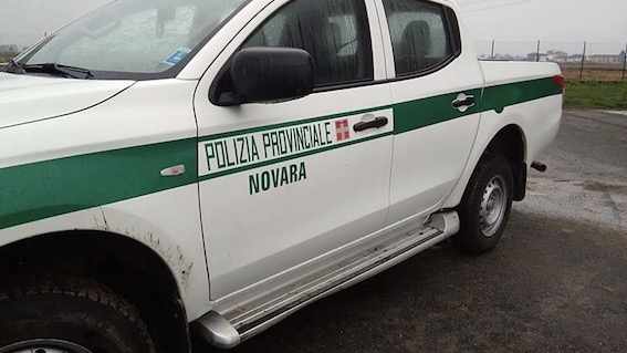 polizia provinciale auto