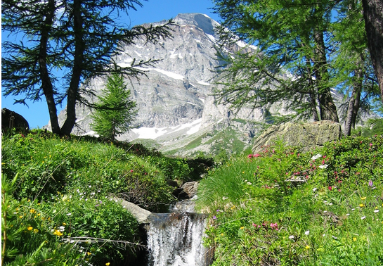 Schermata 2020 04 19 alle 11.11.43