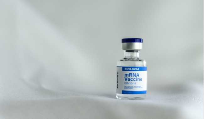 Schermata 2021 06 17 alle 20.10.27 images articles vco ossola 2021 settembre thumb medium650 0